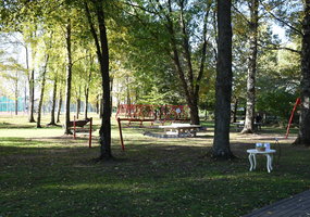 assoc_image