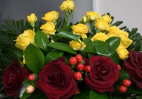 assoc_image