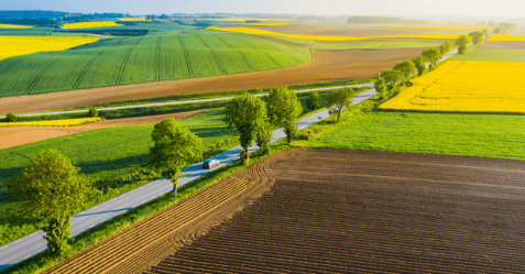 Balandžio 17 d. prasidės kasmetinis pasėlių deklaravimas