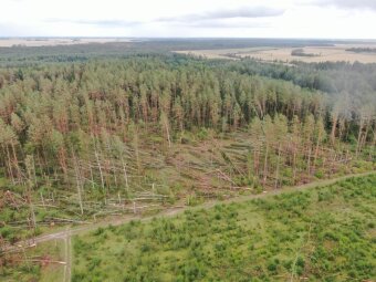 Situacija Joniškio rajono miškuose po stichinės audros