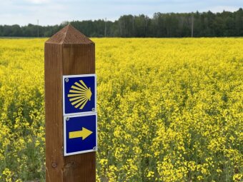 Pasirašytas bendradarbiavimo memorandumas dėl Šv. Jokūbo kelio „Camino Lituano“ Joniškio rajone