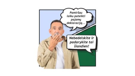113 tūkst. pajamų nedeklaravusių gyventojų — VMI priminimai per EDS