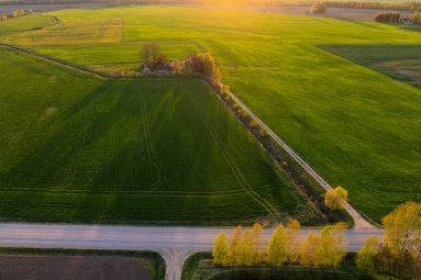 Dėl audros padarinių Vyriausybė skelbia valstybės lygio ekstremaliąją situaciją