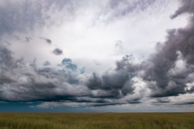 Po praūžusios audros ūkininkai raginami pranešti apie nuostolius