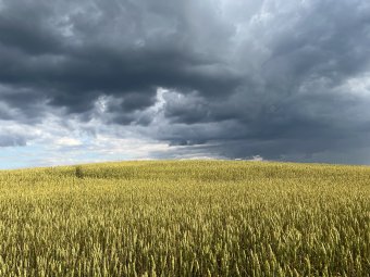 Atšaukta valstybės lygio ekstremalioji situacija
